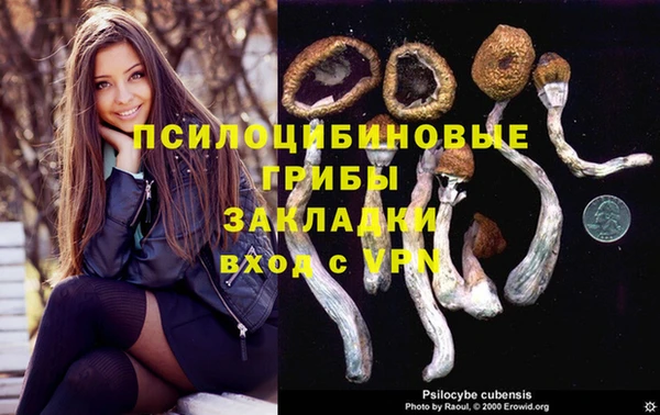спиды Балабаново