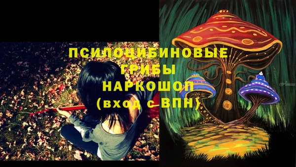 тгк Баксан