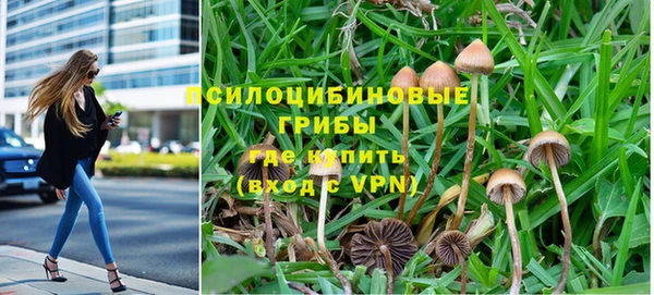 тгк Баксан